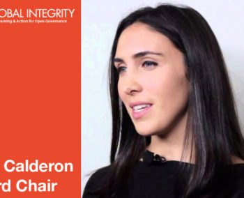 Ania Calderon Board Chair